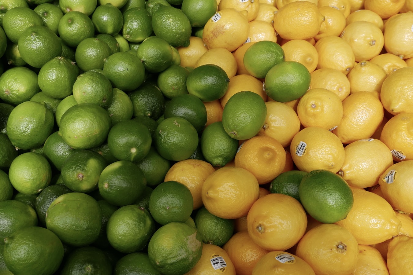 Todo sobre el limón - Casa de Mexico