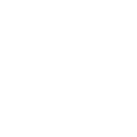 Rey Taco