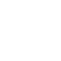 Sal Mestiza